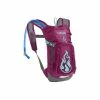 Camelbak Sac Hydratation Mini-Mule 1,5 L / 1,5 L -Promos Vtt Boutique camelbak sac hydratation mini mule 15 l 15 l